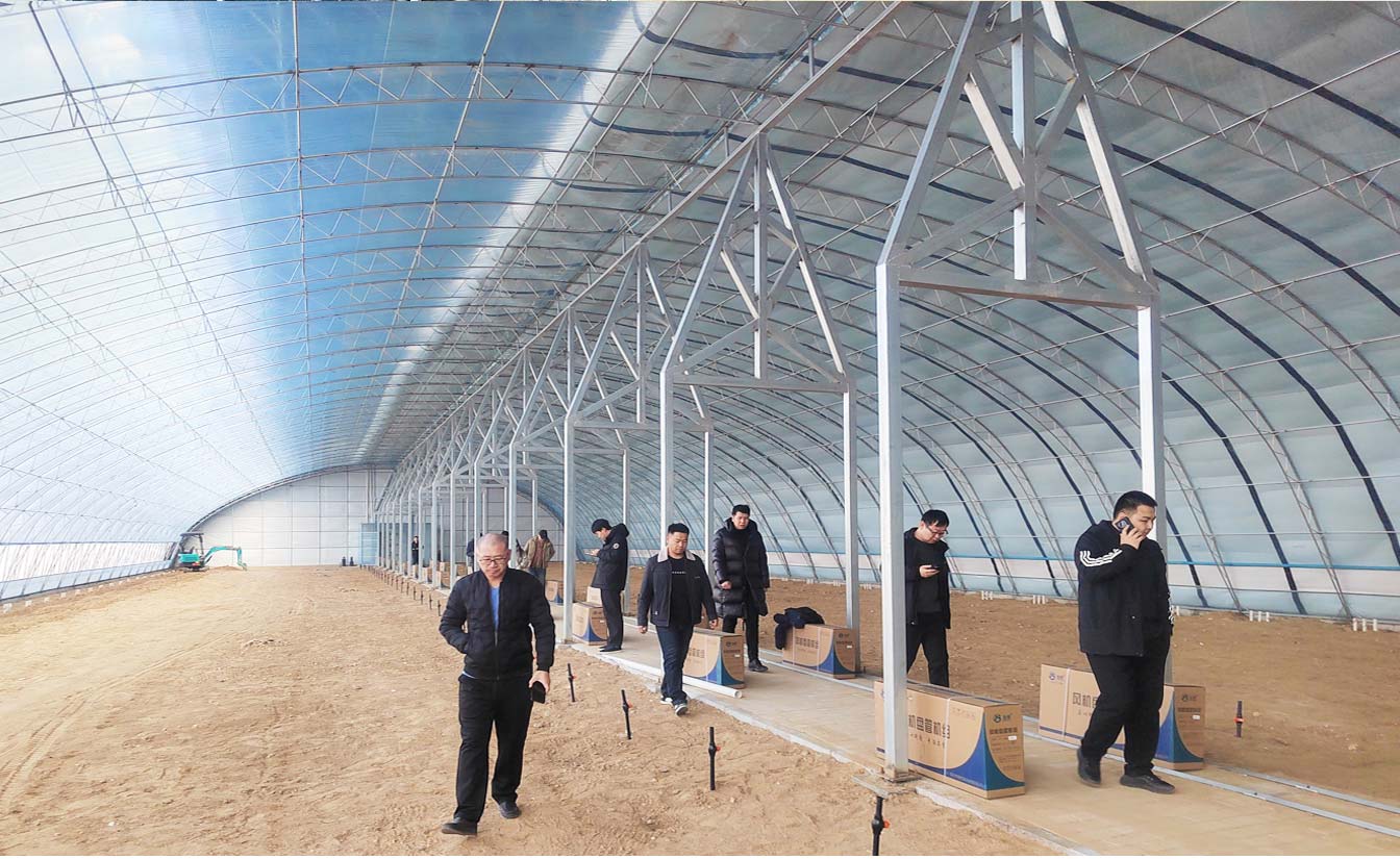 大路鎮(zhèn)苗家灘社區(qū)項目-智能溫室、日光溫室建設項目_09.jpg